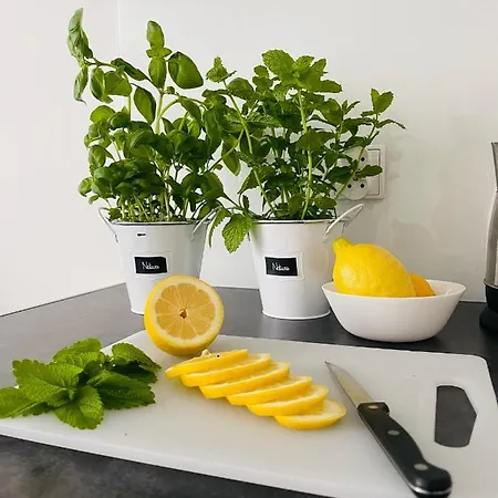 Gladiator Lv 3* Zator